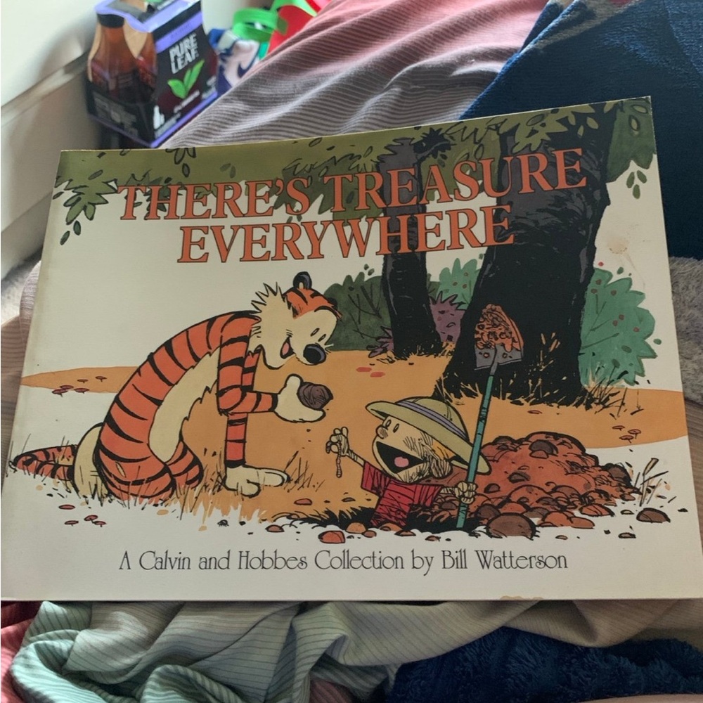 Calvin and Hobbes Comic Book